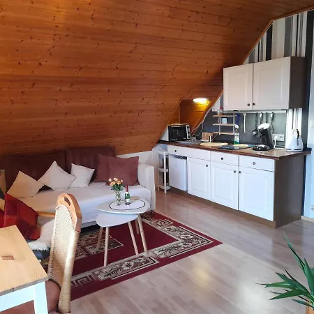 Appartement Haus Alexandra à Bad Driburg Extérieur photo